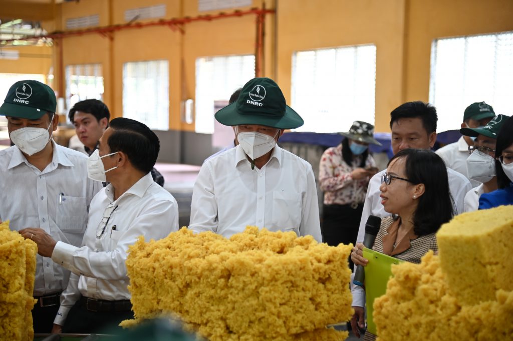 Cao su Đồng Nai có đóng góp quan trọng trong quá trình phát triển của tỉnh